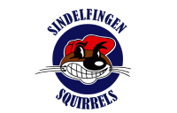 Sindelfinger